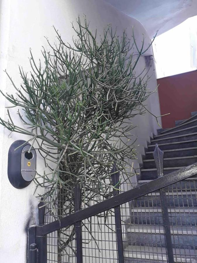 Cozy Studio In Central Location Of Heraklion Exterior photo